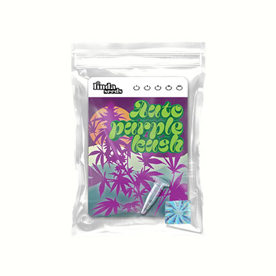 Auto Purple Kush semilla > Linda Seeds | NUESTRAS RECOMENDACIONES DE SEMILLAS DE MARIHUANA  |  Semillas Baratas